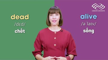 TIẾNG ANH MỖI NGÀY - 150 CẶP TÍNH TỪ TRÁI NGHĨA