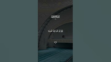 قران الكريم - سورة التحريم || القارئ - ماهر المعيقلي || يا ايها الذين امنوا توبوا …