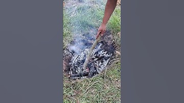 Using the Cone Pit Method for Making Biochar