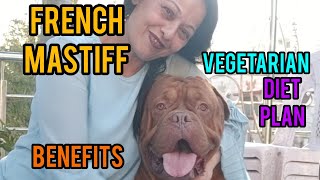 French mastiff, Vegetarian diet knowledge in Hindi and their benefits. by Anupma Pandey 502 views 2 years ago 4 minutes, 43 seconds