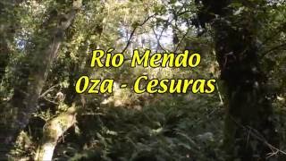 Fervenza da Rexedoira (Río Mendo - Oza Cesuras)