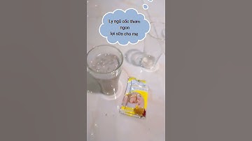 Cách pha 1 ly ngũ cốc lợi sữa lạc lạc thơm ngon lợi sữa cho mẹ sau sinh, uống là nghiền.