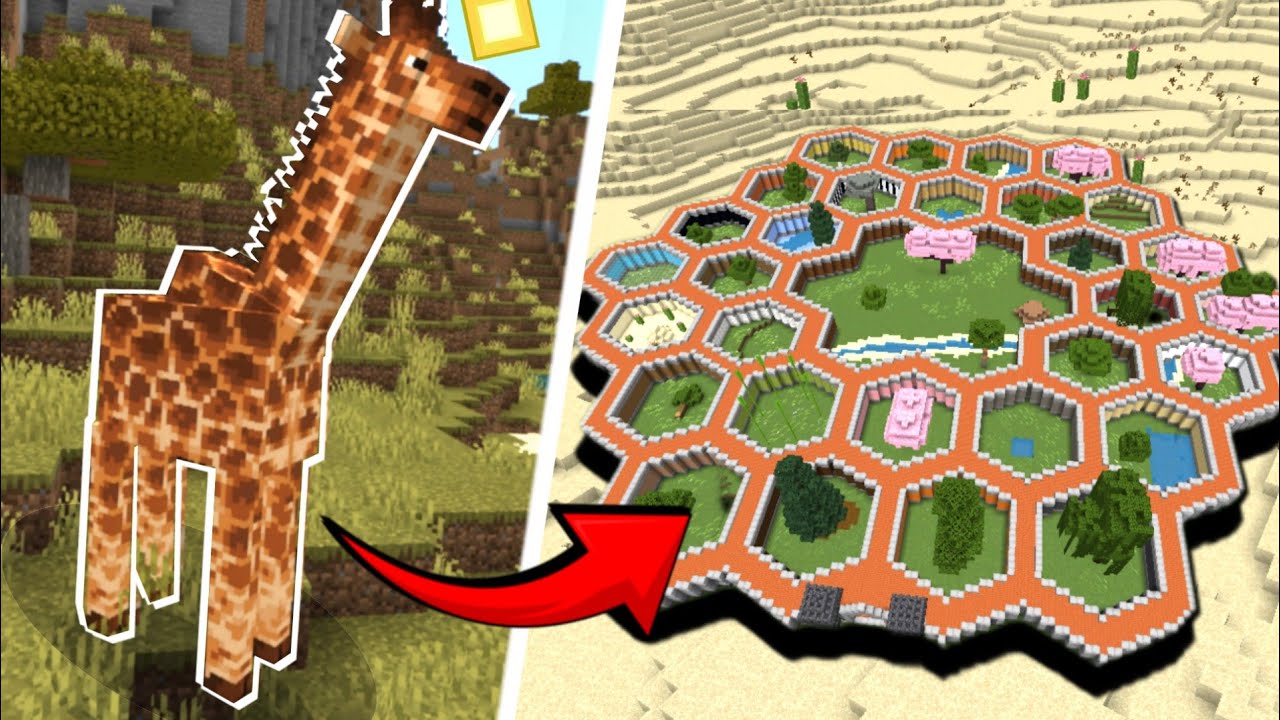 I built a ZOO for REAL LIFE Animals in Minecraft - YouTube