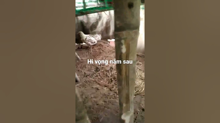 Hi vọng năm sau