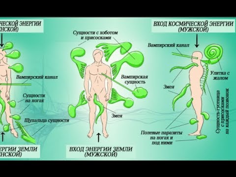 Энергетические паразиты вокруг нас. Вот как защитить себя о них