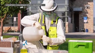 Full Wastewater testing at CSU finds high levels of COVID-19, 900 students told to self-quarantine News