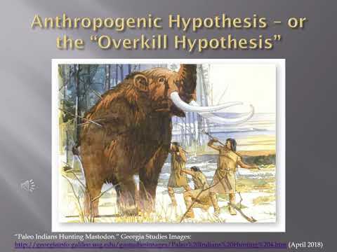 Pleistocene Megafaunal Extinctions