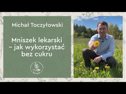 Mniszek lekarski – jak wykorzystać bez cukru | Michał Toczyłowski | Narum | Narine