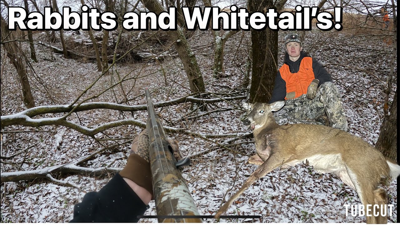 new-years-eve-rabbit-and-deer-hunting-limits-wisconsin-rabbit