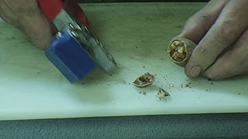 Pecan Shelling with The Texan York Sheller-Nut Cracker