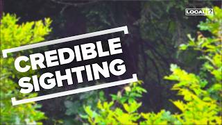 Why researchers say this Connecticut Bigfoot sighting stands out