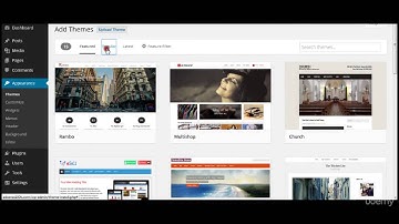 9   Live Setup   Niche Domain Hosting Theme
