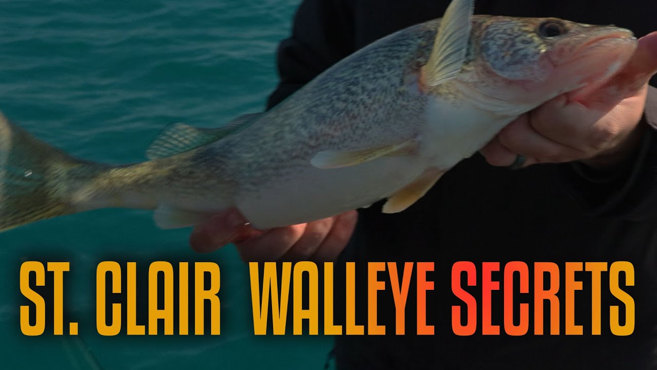 St. Clair River Walleye Adventure | Fisherman’s Digest