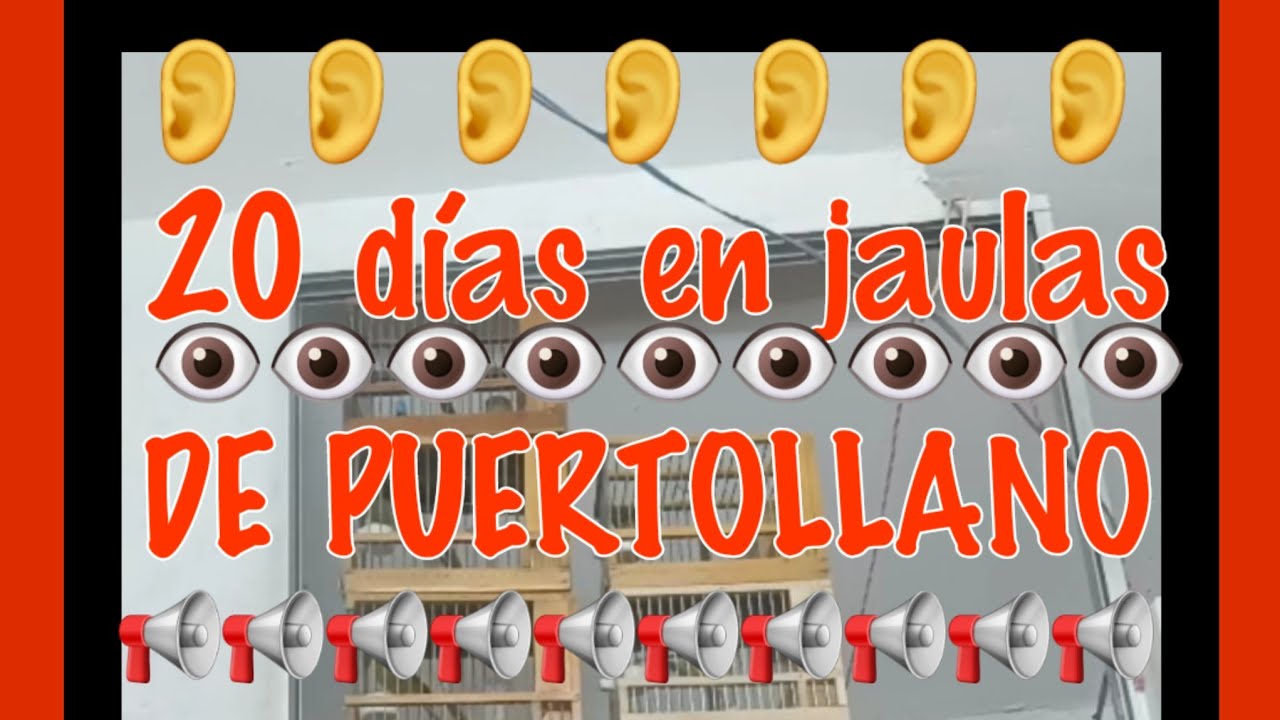De agosto, 20 días en jaulas Puertollano 