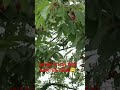 GESTERN AUF DEM WEG IM GARTEN.