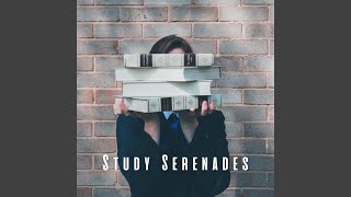 Study Break Serenity