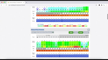 How to Read the Wind Forecast in Tampa Bay