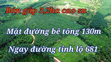 Bán gấp vườn cao su Đắk Nông, mặt đường bê tông ngay tỉnh lộ 681/Nhà Đất Đắk Nông