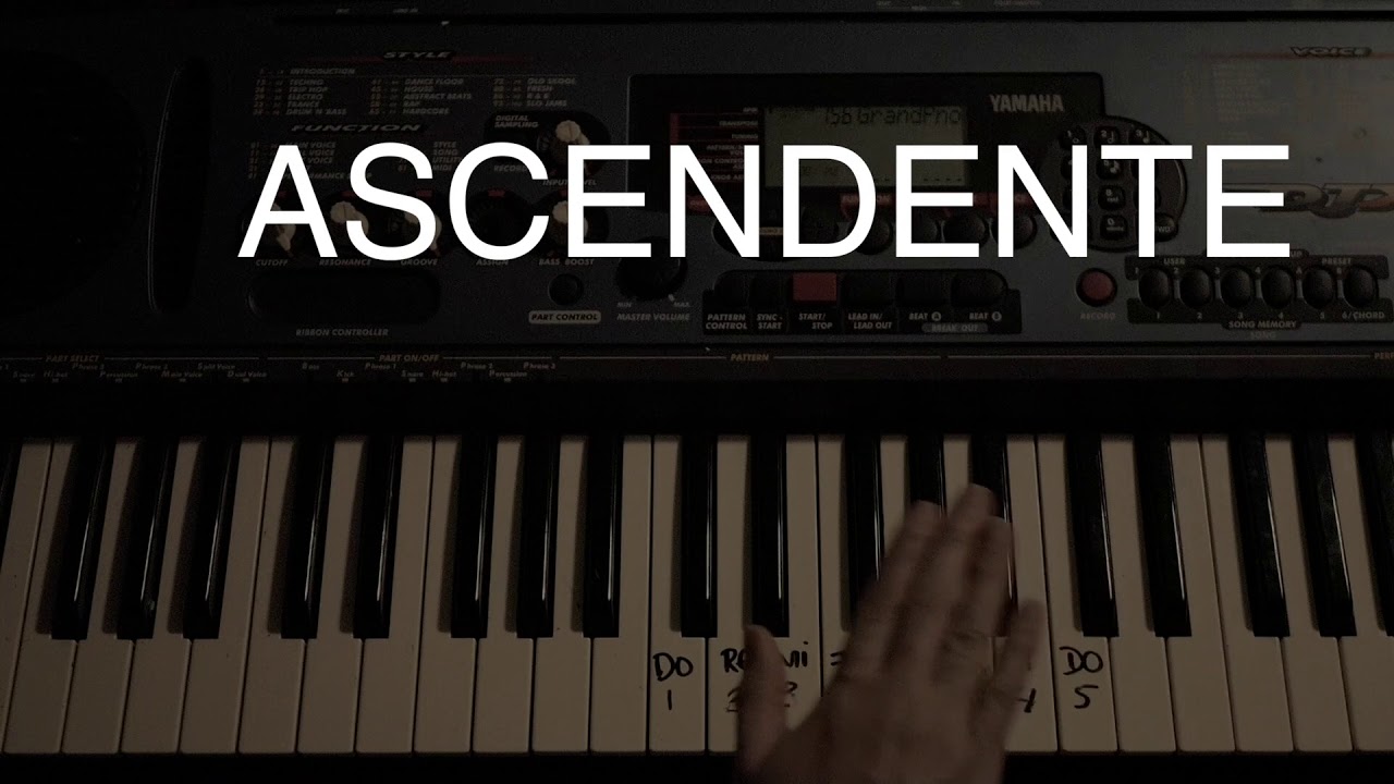 Escala musical (Ascendente y Descendente) - YouTube