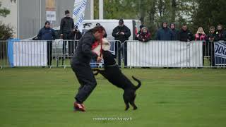 IFR Rottweiler IGP WorldChampionship 2021 Hungary Compilation Thursday