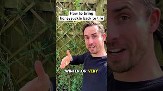 Celebrity How to prune honeysuckle #gardening Net Worth
