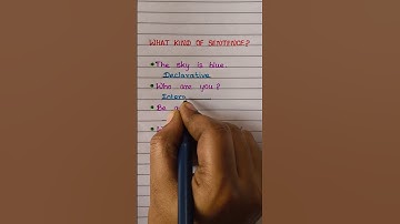 What Kind of Sentence | Learn English | Graze Education