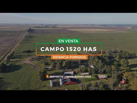 Campo de 1520 Has en venta - 80% Agrícolas con increíbles mejoras en Lobería