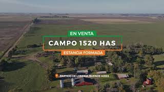 Campo de 1520 Has en venta - 80% Agrícolas con increíbles mejoras en Lobería