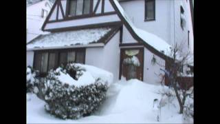 white christmas blizzard 2010.mpg