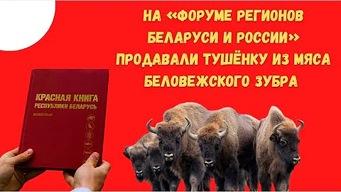 На «Форуме регионов Беларуси и России» продавали тушёнку из мяса беловежского зубра