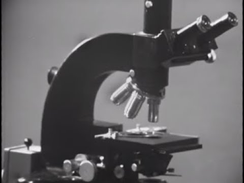 וִידֵאוֹ: רובוט על כוסות יניקה יבחן את העור במיקרוסקופ