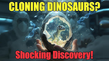 Could We Really Clone a Dinosaur Today? Shocking New DNA Discovery