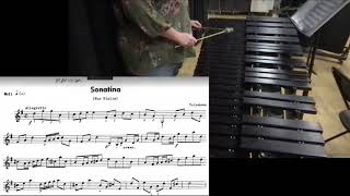 Mallet Solo Level 2 Help-Sonatina-Marimba