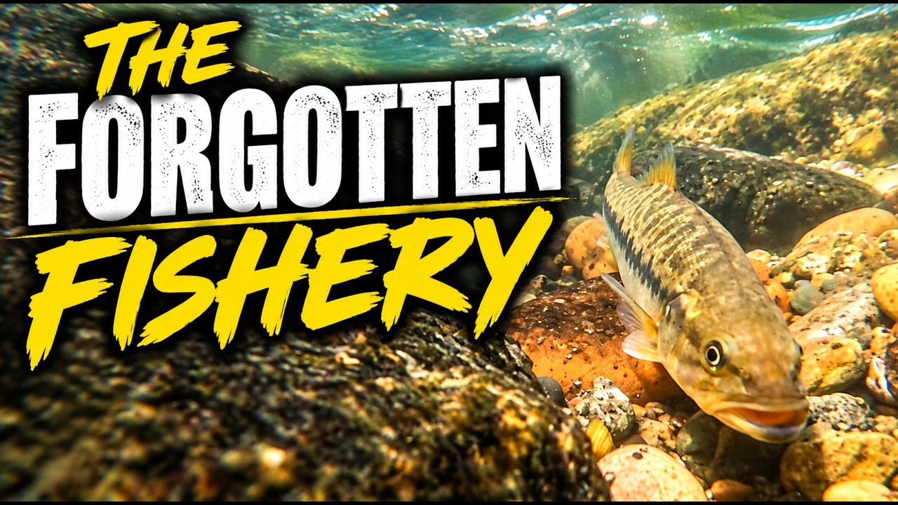 Californias Secret Fishery