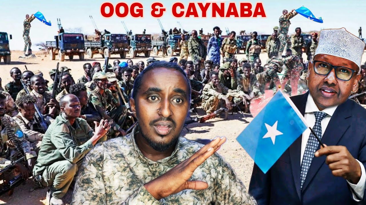 Dawo Somaliland waxa ku dhacay wasiiro iyo ciidamo xoogan o gaadhay oog caynaba wax yar ayay u..