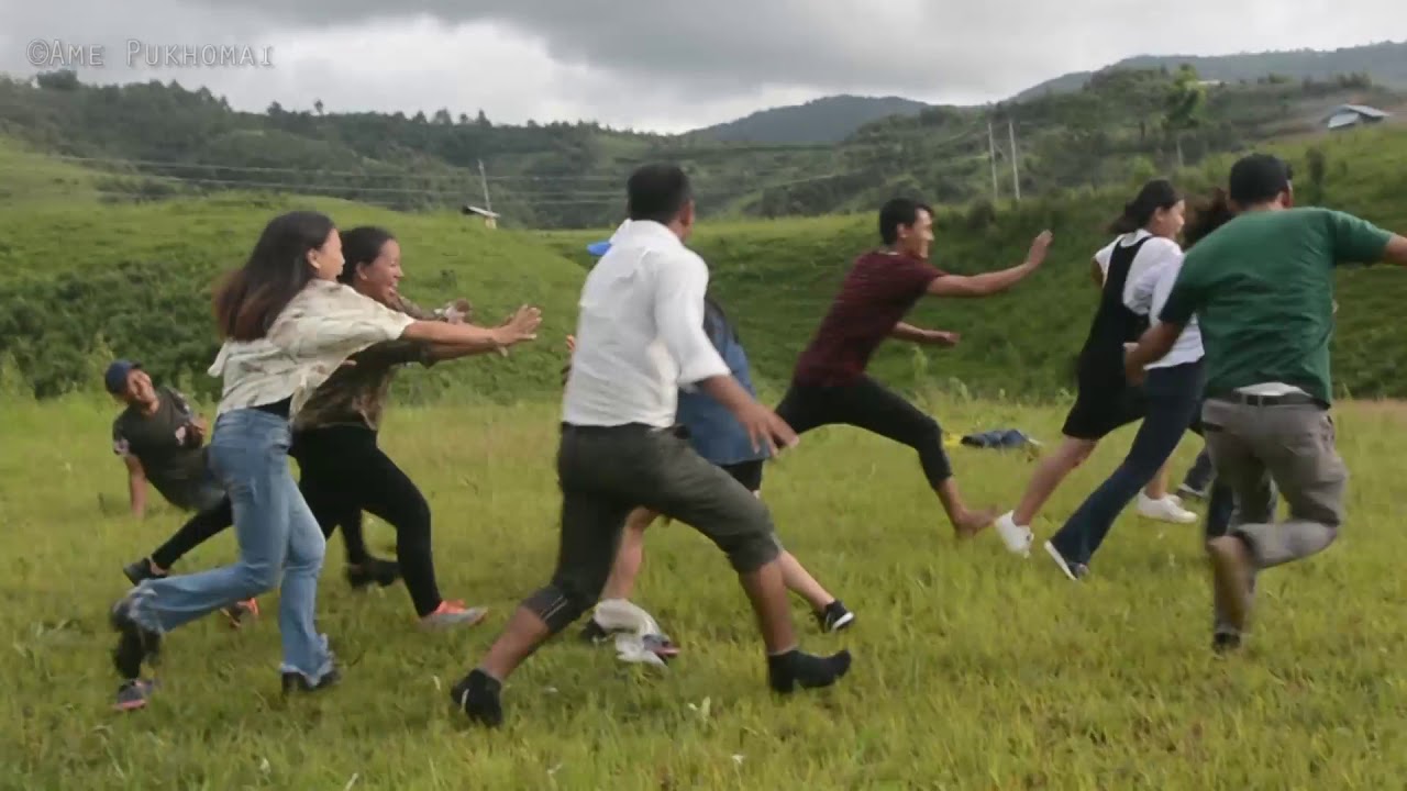 Cat & Dog Chase Game