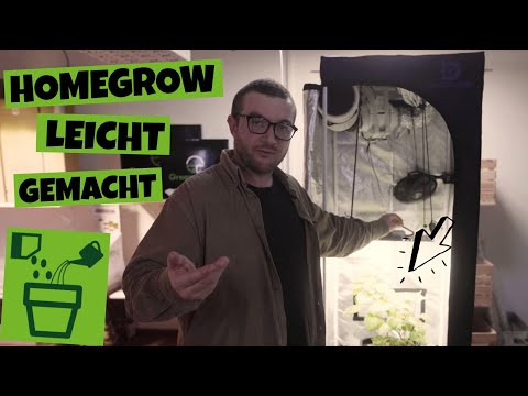 Video: Schritt-für-Schritt-Anleitung zum Pflanzen einer Fensterbox