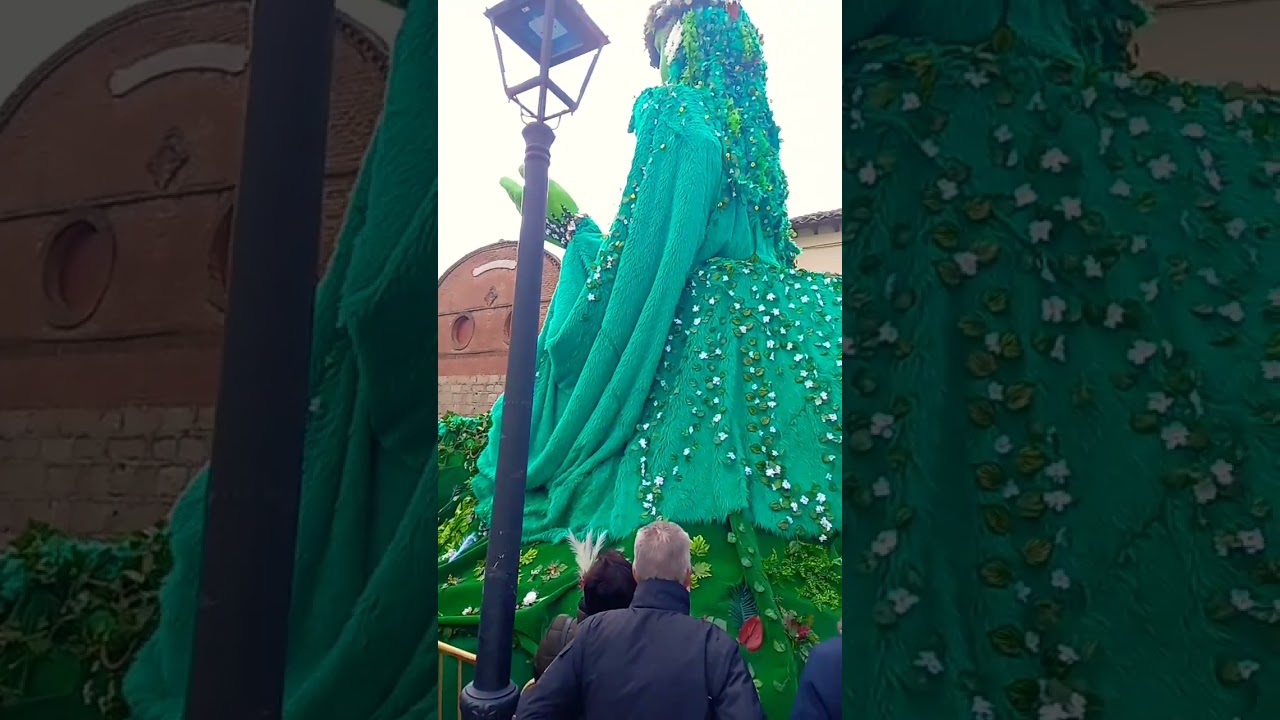 carnaval cebreros #carnaval #videoshorts #parati #viral #carnaval #shortviral