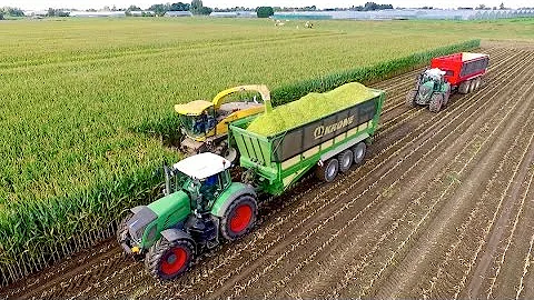 Maize Silage Race 2016 | NH FR9050 - Krone ZX560 -...