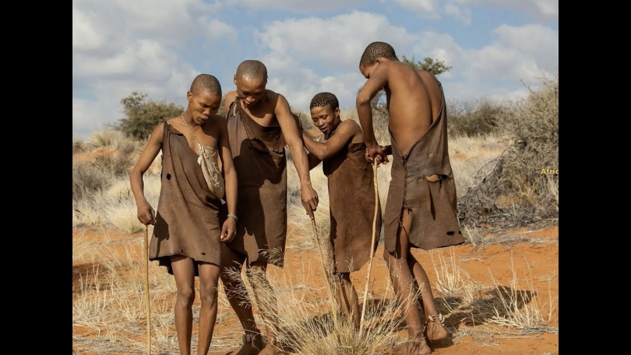 Bushmen Dance The San Tribe Youtube