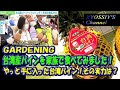 【XYOSSIYのライフチャンネル】速報レポその１　台湾産パインアップルのファミリー試食（Let's try the Taiwan Pineapple together!)