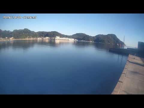 柴山港(避難港)ライブ映像 のライブ映像