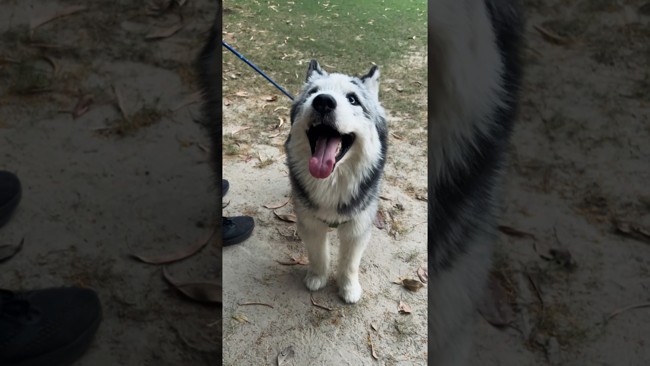 Tum prem ho 💋🙈🧿 