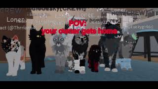 Film Crew Pov Your Owner Gets Home Comment To Join Crew