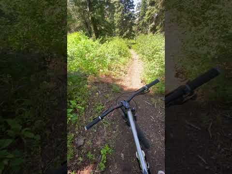 A great day in the mountains. :) #bike #nature #mtb