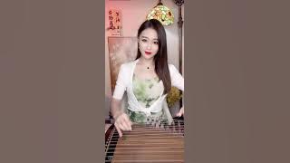 《新鸳鸯蝴蝶梦》古筝