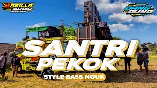 DJ SANTRI PEKOK STYLE BASS NGUK NABILLA AUDIO AND TEAM DANG DUNG 