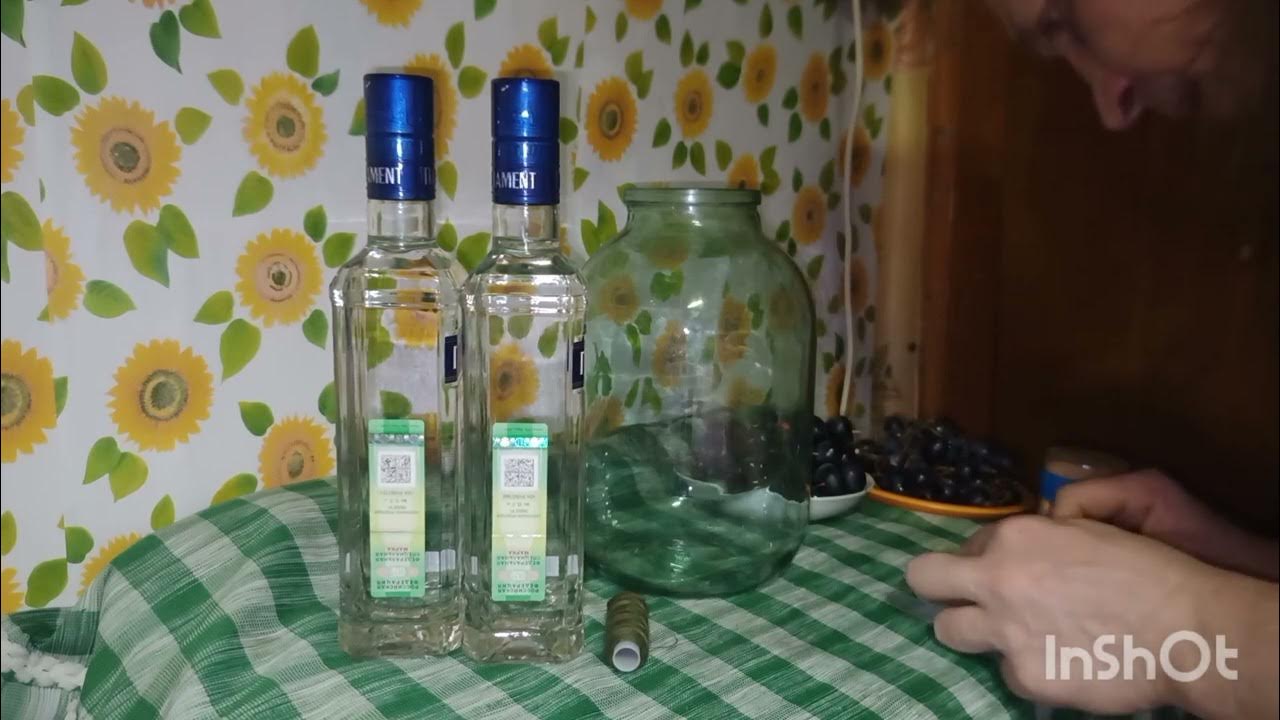 Сорт винограда кишмиш 342. Наливка из винограда. Виноград валери. Висельник на винограде. Настойка лимонный висельник.