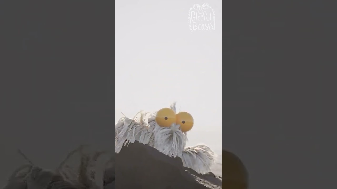 Endangered oddball at the beach? Massive eyes + a smell you won’t forget–meet the Spoffle. ✨