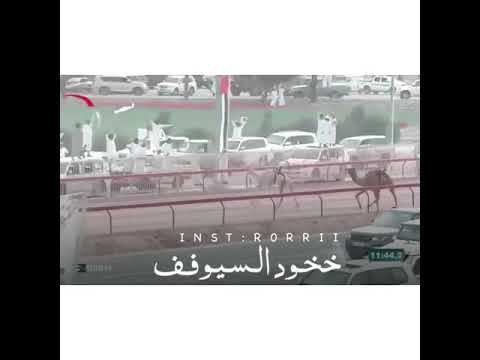 هجن الشحانيه خوددد خوووود